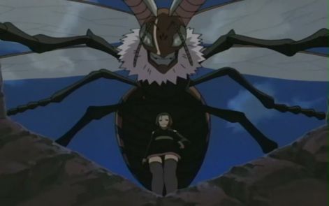 beeeeee.jpg