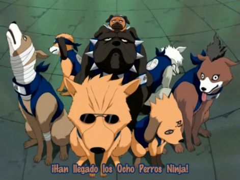kakashi_kuuuuuuuu.jpg