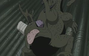 kameleon.jpg