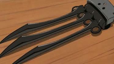 soras_claw.jpg