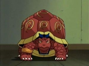 turtle.jpg